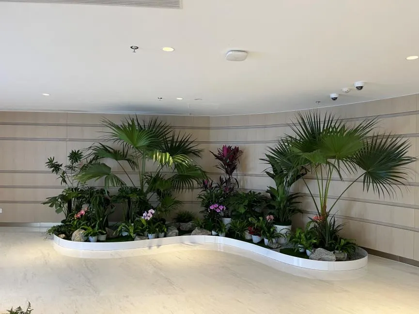 惊了！鄞州绿植租赁服务好得一塌糊涂！